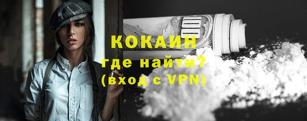 прущие грибы Вязники