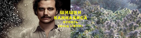 спайс Горнозаводск