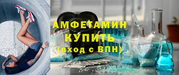 прущие грибы Гусиноозёрск
