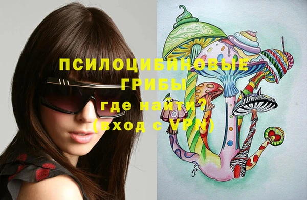 винт Вяземский