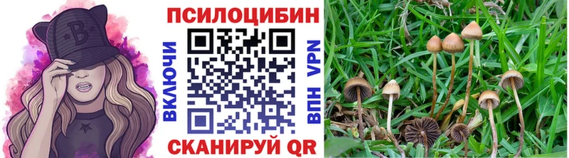 купить наркоту  Зима  Псилоцибиновые грибы прущие грибы 